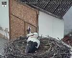 Capi_Dubne_20250407_155502.jpg