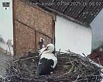 Capi_Dubne_20250407_160002.jpg