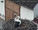 Capi_Dubne_20250407_160502.jpg