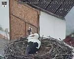 Capi_Dubne_20250407_161503.jpg