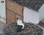 Capi_Dubne_20250407_162502.jpg