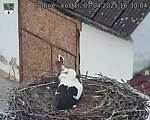 Capi_Dubne_20250407_163004.jpg