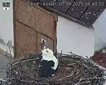 Capi_Dubne_20250407_164003.jpg