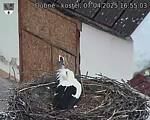 Capi_Dubne_20250407_165503.jpg