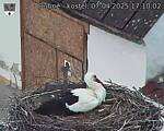 Capi_Dubne_20250407_171002.jpg