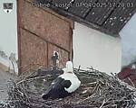 Capi_Dubne_20250407_172003.jpg