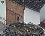 Capi_Dubne_20250407_172503.jpg