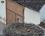 Capi_Dubne_20250407_173503.jpg
