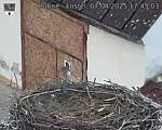 Capi_Dubne_20250407_174503.jpg