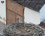 Capi_Dubne_20250407_175502.jpg