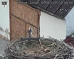 Capi_Dubne_20250407_180004.jpg