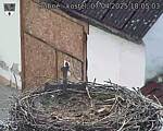 Capi_Dubne_20250407_180503.jpg