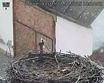 Capi_Dubne_20250407_181002.jpg