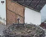 Capi_Dubne_20250407_181503.jpg