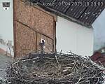 Capi_Dubne_20250407_182003.jpg