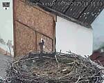 Capi_Dubne_20250407_183003.jpg