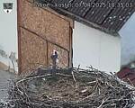 Capi_Dubne_20250407_183503.jpg