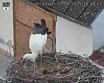 Capi_Dubne_20250407_184002.jpg