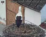 Capi_Dubne_20250407_184503.jpg