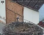 Capi_Dubne_20250407_185003.jpg