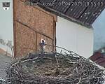 Capi_Dubne_20250407_185503.jpg