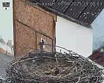 Capi_Dubne_20250407_190003.jpg