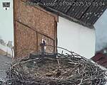 Capi_Dubne_20250407_190504.jpg