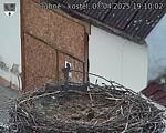 Capi_Dubne_20250407_191002.jpg