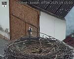 Capi_Dubne_20250407_191503.jpg