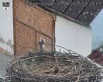 Capi_Dubne_20250407_192003.jpg