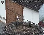 Capi_Dubne_20250407_193502.jpg