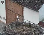 Capi_Dubne_20250407_194502.jpg
