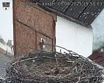 Capi_Dubne_20250407_195003.jpg