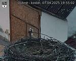 Capi_Dubne_20250407_195502.jpg