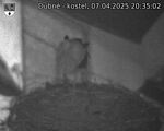 Capi_Dubne_20250407_203502.jpg