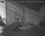 Capi_Dubne_20250407_215002.jpg