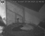 Capi_Dubne_20250407_224002.jpg