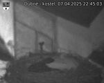 Capi_Dubne_20250407_224503.jpg