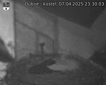 Capi_Dubne_20250407_233003.jpg