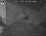 Capi_Dubne_20250408_002003.jpg