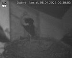 Capi_Dubne_20250408_003003.jpg