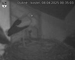Capi_Dubne_20250408_003503.jpg
