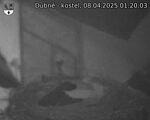 Capi_Dubne_20250408_012003.jpg