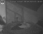 Capi_Dubne_20250408_013003.jpg