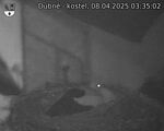Capi_Dubne_20250408_033502.jpg
