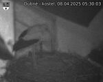 Capi_Dubne_20250408_053003.jpg