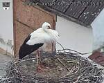 Capi_Dubne_20250408_071503.jpg