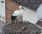 Capi_Dubne_20250408_083003.jpg