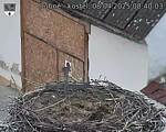 Capi_Dubne_20250408_084003.jpg
