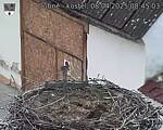 Capi_Dubne_20250408_084503.jpg